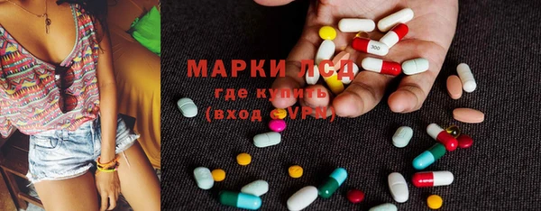 крисы Баксан