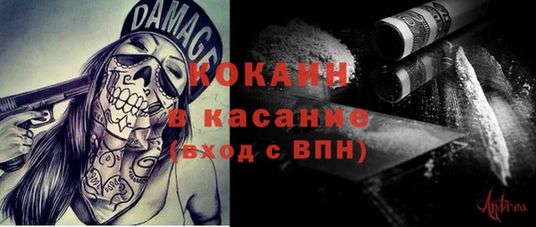 крисы Баксан