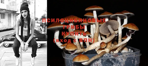 крисы Баксан