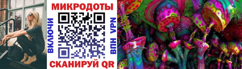 hydra Соль-Илецк Галлюциногенные грибы мицелий